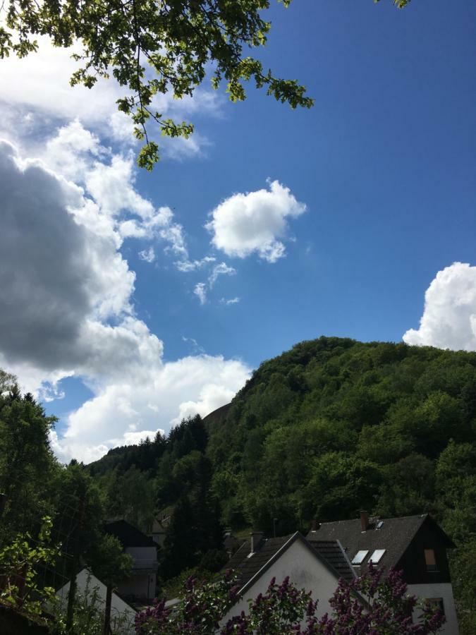 Haus Anne Apartment Cochem