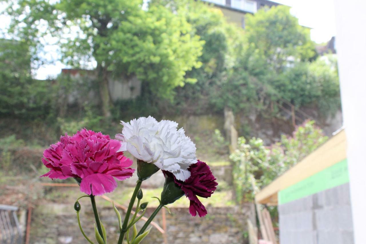 Apartment Haus Anne Cochem
